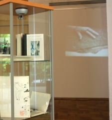 Installation detail of display cases